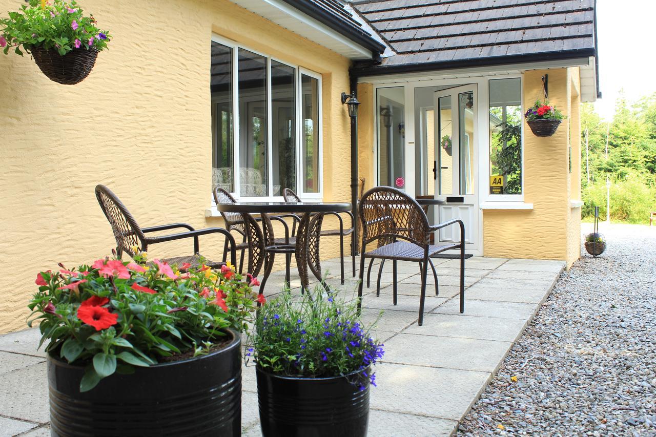 Pinewood Lodge Laragh Dış mekan fotoğraf