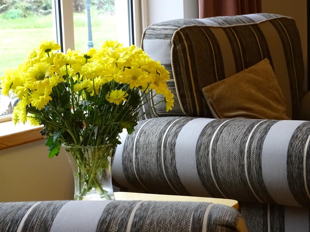 Pinewood Lodge Laragh Dış mekan fotoğraf