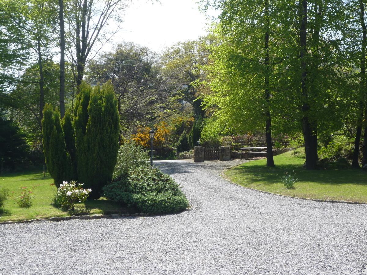 Pinewood Lodge Laragh Dış mekan fotoğraf